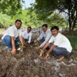 वृक्षलागवड मोहीम