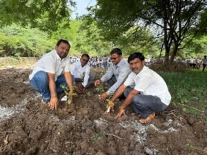 वृक्षलागवड मोहीम