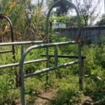 पशु वैदिकय खोडा