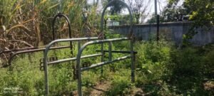 पशु वैदिकय खोडा