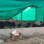 शासकीय योजना अभिसरण