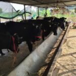 शासकीय योजना अभिसरण