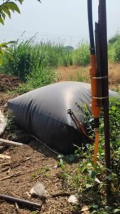 बायोगॅस निर्मिती सुविधा